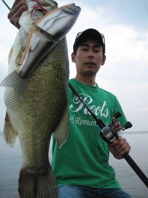 <p>
	Color schemes of swimbaits closely resemble forage in Japanâs Lake Biwa.</p>
