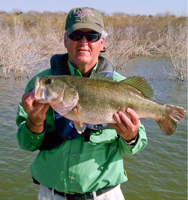 <p>
	<strong>Mike Hensley</strong></p>
<p>
	10 pounds-7 ounces</p>
<p>
	Falcon Lake, Texas</p>
<p>
	8-inch Zoom Lizard</p>
