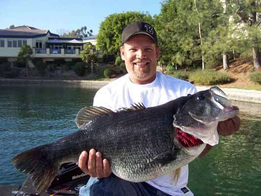 <p>
	<strong>#11 - Joe Everett</strong></p>
<p>
	This Mission Viejo, Calif., lunker hunter is chasing a new world record largemouth and feels that 2012 might be the year he brings the title back home to the good ol' U.S.A. He's got plenty of top-notch competition, though, from the likes of Mike Long, George Coniglio and others who know their ways around the Southern California trophy factories. We won't have to watch all year, either. Lunker season typically ends around the first of May.</p>
