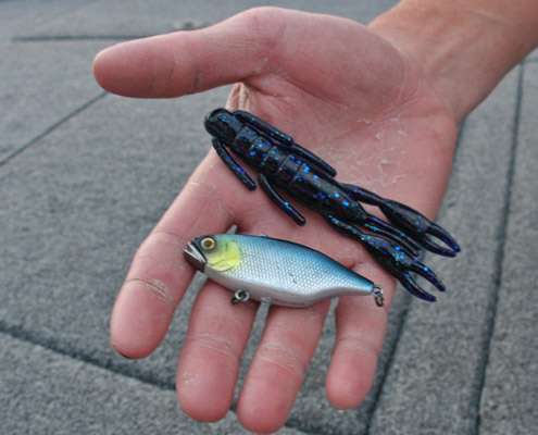 <p>
	The two baits that produced for Lanier were a junebug Culprit 4-inch craw and a 1/2-ounce aurora black Jackall TN60 lipless crankbait. For flipping the craw, Lanier used a 3/8-ounce weight and a 3/0 BMF flipping hook rigged on 25-pound Seaguar fluorocarbon.</p>
