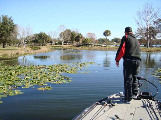 <p>
	Justin Hamner looks for bedding bass in a canal on Lake Harris.</p>
