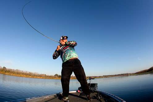 <p>
	Lane rears back on another fish not long after the first.</p>
