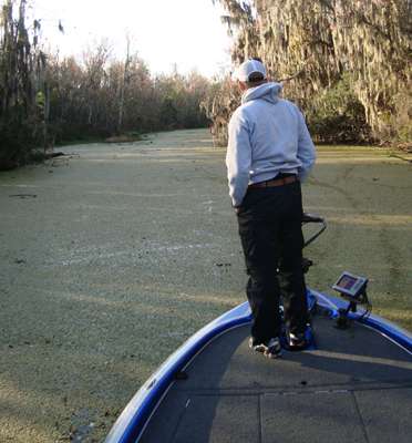 <p>
	This canal was too choked with aquatic growth to see bass beds.</p>
