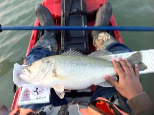 <p>
	Marcus Villanueva guesses this bass was around 7 pounds. âI forgot my scale at home,â he said. It was his biggest ever, caught from a kayak.</p>
