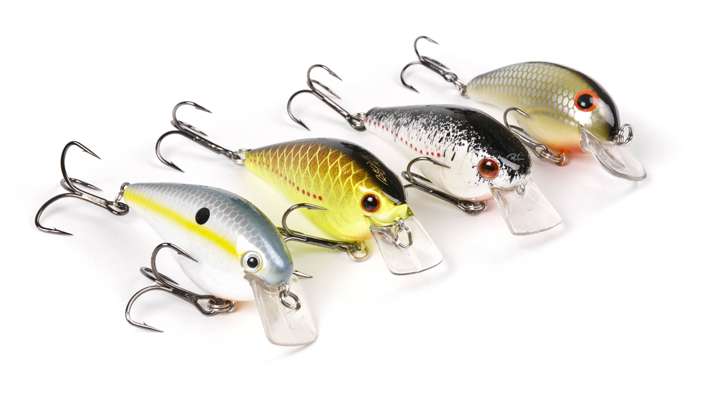<p>
	Squarebill crankbaits were huge players in the 2009 Classic on the Red River, and are always well-represented in power fishing events, like this Classic looks to be. From L to R: Strike King KVD 1.5; Lucky Craft 1.5; Luck "E" Strike RC2; Bandit Squarebill.</p>
