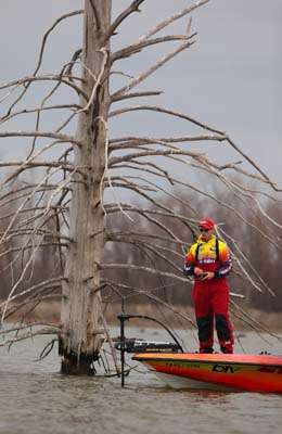 <p>
	Keith Combs is highlighted by the skeleton of a dead tree in one of the backwaters.</p>
