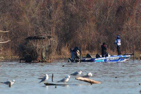 <p>
	 </p>
<p>
	Takahiro Omori fishes a duck blind early on Day Three of the 42<sup>nd</sup> Bassmaster Classic.</p>
