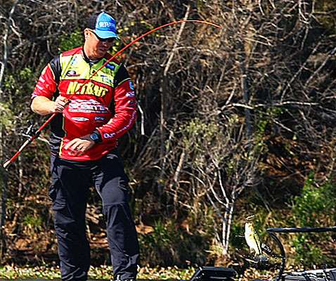 Every fish counts when you're looking for a limit on Day Three of the Classic.