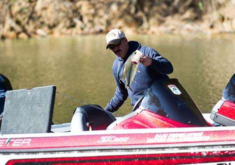 <p>
	<strong>JOHN DIACO</strong></p>
<p>
	<strong>Fed  Nation Eastern Division champion</strong></p>
<p>
	Diaco, of Rochester, N.H., had a 5-ounce victory in the Eastern Division and will be fishing his first Classic.</p>
