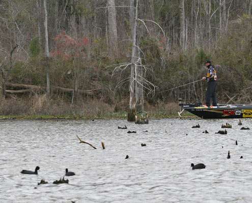 <p>
	Gerald Swindle works down a wind-blown bank on Day One of the Bassmaster Classic.</p>
