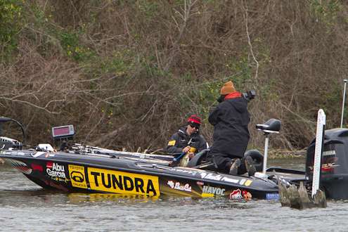 <p>
	Iaconelli starts culling on Friday.</p>
