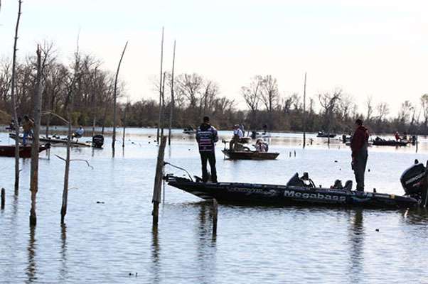 <p>
	McDade was packed with anglers yesterday.</p>
