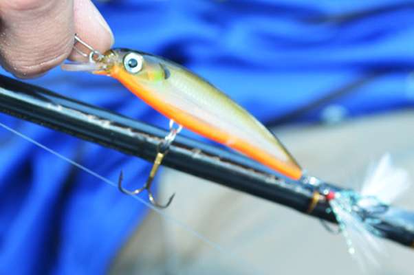 A look at the 2012 Classic baits - Bassmaster
