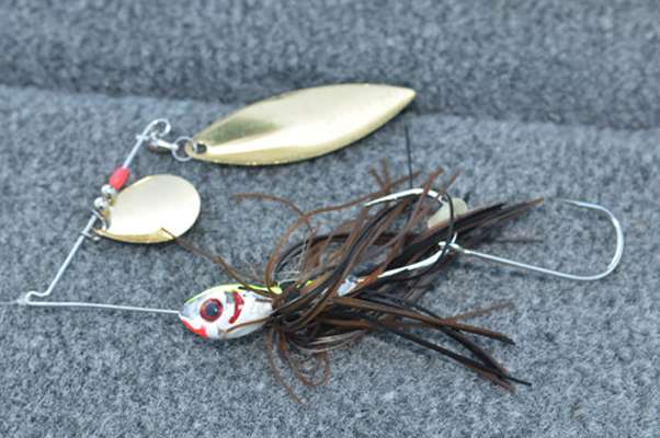 <p>
	Tim Horton (6th) caught every fish he weighed except for a couple on a black and brown Booyah spinnerbait.</p>
