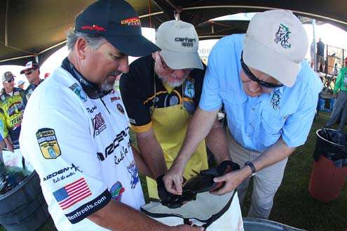 <p>
	Pete Ponds watches as Max Leatherwood, B.A.S.S. official, and Dale Jones, Florida Fish and Wildlife Conservation Commission, inspect one of his keepers that was tagged.</p>
