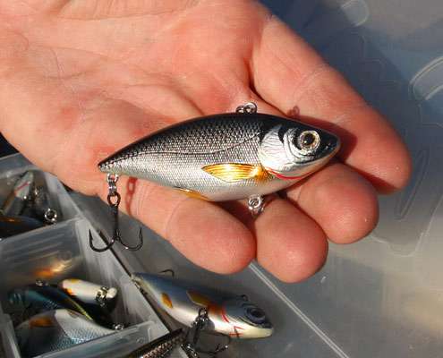 <p>
	Pictured is one of Walkerâs favorites, a Â½-ounce Live Target lipless in the chrome and black back color. He also likes golden shiner in the same size, which is perfect for the 4- to 5-foot depth range. âIt comes through the Florida environment so well. I would not go to Florida without it.â</p>
