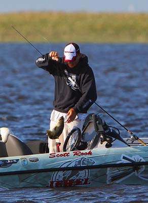<p>
	Scott Rook boats a keeper early in the day. </p>
