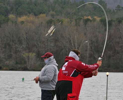 <p>
	The Alabama rig takes flight, a popular bait sweeping across the Tennessee River area.</p>
