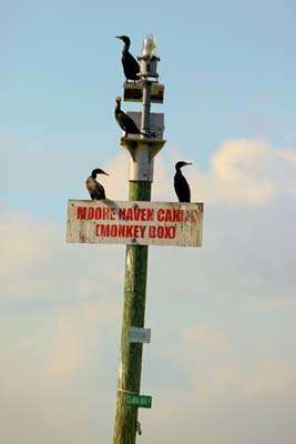 <p>
	This sign marks the route to one of the more popular fishing spots on Lake Okeechobee, an area known as the Monkey Box. </p>

