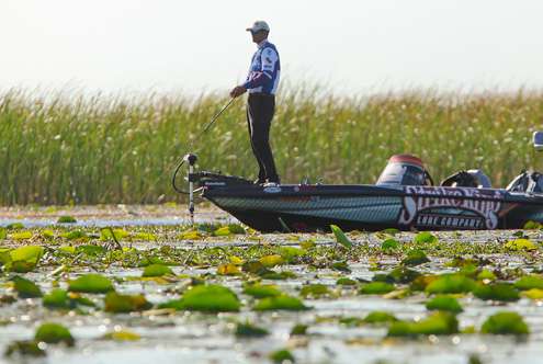 <p>
	James Niggemeyer found the conditions less crowded in the lily pads. </p>
