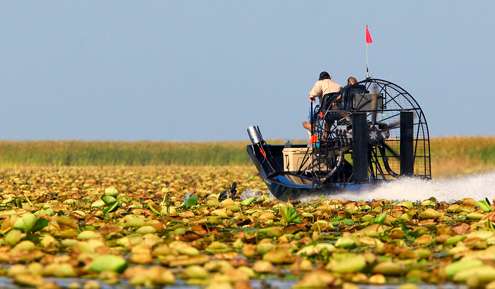 <p>
	Airboats speeding across miles of lily pads is a frequent sight on Lake Okeechobee.</p>
