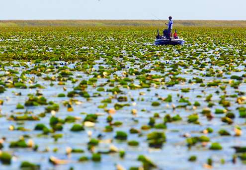 <p>
	Yusuke Miyazaki was one of several anglers trying to figure out the maze of lily pads on Lake Okeechobee.</p>
