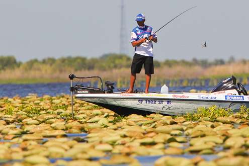 <p>
	Chris Zaldain looks into the pads before making his next cast.</p>

