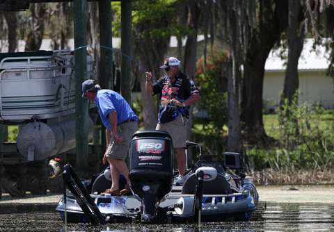 <p> 	Tommy Biffle nabs a big-bellied bass.</p> 