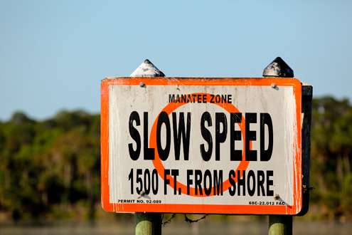 <p>
	Manatee zones surround Lake George, and boats must move slowly when 1500 feet from the shoreline.</p>

