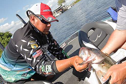 <p>
	Chris Lane sacks one of his fish on Day Two of the Power-Pole Slam.</p>
