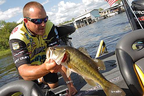 <p>
	Skeet Reese transfers his fish from his livewell to his weigh-in bag.</p>
