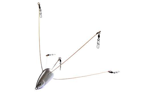 <p>
	<strong>Jerry Rago Bait Ball</strong></p>
<p>
	This umbrella rig is made with lighter wire arms for a more finesse presentation. It also has a superwide wingspan and a realistic head. <a href=