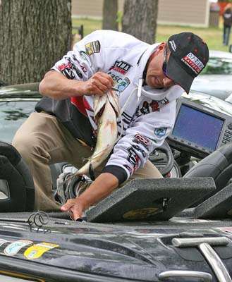 <p>
	Edwin Evers puts his fish in his weigh-in bag Sunday behind the stage.</p>
