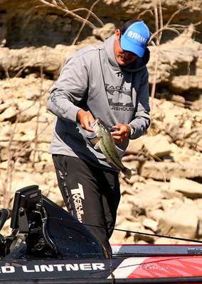 <p>
	Lintner takes a closer look at the fish, hoping it will help him cull a smaller fish in the livewell. </p>
