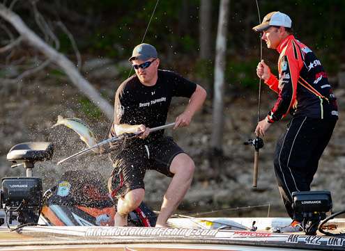 <p>
	McClellandâs co-angler, Drew Simon places the net under the fish as McClelland swings it aboard. </p>
