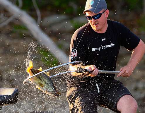 <p>
The bass begins to settle safely into the net. </p>