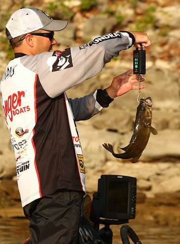<p>
	Winans weighs the smallmouth before placing it in the livewell. </p>
