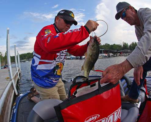 Brian Snowden dumps his nicest largemouth into his weigh-in bag.
