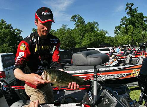 <p>
	Brandon Card bags his fish on Day One.</p>
