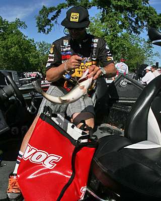 Mike Iaconelli loads his fish into the bag.
