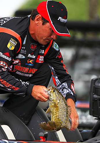 <p>
	Grant Goldbeck places a smallmouth in his bag.</p>
