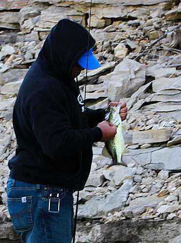 <p>
	Lane catches his fifth fish to finish his limit.</p>
