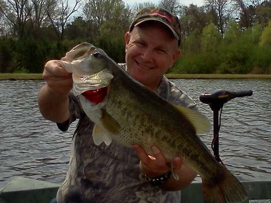 <p>
	Scooter Kinard caught this 7-plus-pounder using a square-bill crankbait in Alabama.</p>
