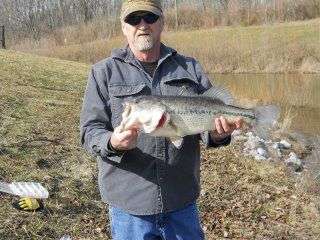 <p>
	Tom Bourque caught this 6 1/2-pounder in an Indianapolis retention pond. He was using a 1/4-ounce crankbait (blue/yellow).</p>
