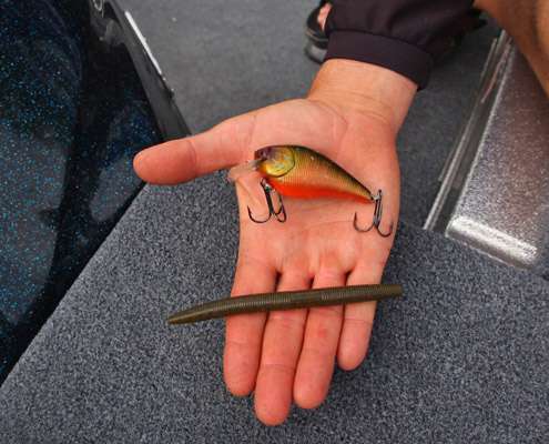 <p>
	His primary pattern the first two days consisted of a Lucky Craft custom painted 2.5 square bill and a wacky-rigged green pumpkin Yamamoto Senko. The color was a lot like a bluegill, which he attributed to his success. âI had one fish spit up a bluegill and it looked like this crankbait. It also has some brown and orange, so it kind of looks like a crawdad too.â The crankbait was successful around rocks, but when he found a bush in some pockets, he would pull out the wacky rig. âIt seemed like every bush Iâd fling had fish.â</p>
