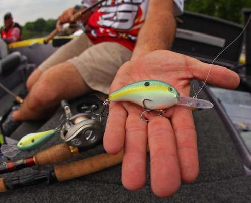 <p> 	When Scanlon found brush that was a little shallower, he switched over to this Strike King Series 5 crankbait in the chartreuse shad. âI had several areas with brush that were in a line, so I could contact several piles on one cast. The brush was all on or close to the main lake and it helped to have a spawning pocket close.â</p> 