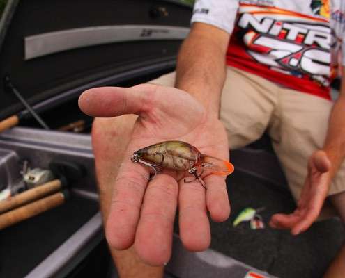 <p> 	A Storm Wiggle Wart is a Table Rock staple, and while it did account for some fish for Scanlon, it wasnât as crucial as the other baits. âIt has a unique hunting action and paint scheme that makes it look just like a crawfish, with that same erratic action.â</p> 