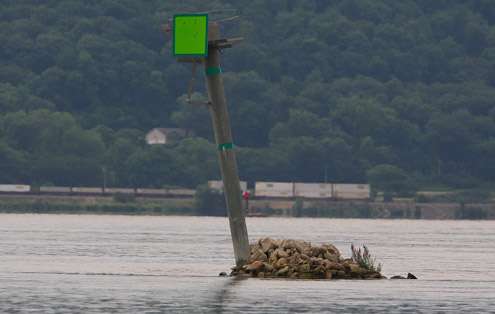 <p>
	This is one of the many navigational markers on the river. The current was really rolling this morning.</p>
