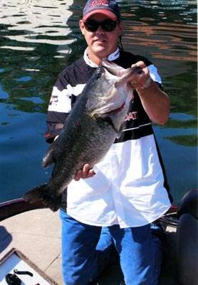 <p>
	<strong>Larry Hazelip</strong></p>
<p>
	12 pounds, 15 ounces</p>
<p>
	Lake Mission Veijo, Calif.</p>
<p>
	Castaic rainbow trout swimbait</p>
