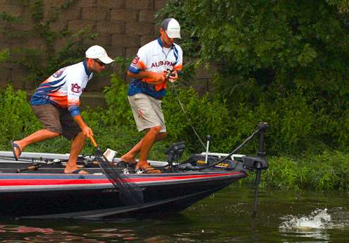 The 4th place team from Auburn University, Matt and Jordan Lee, was catching fish early on Hurricane Lake. 